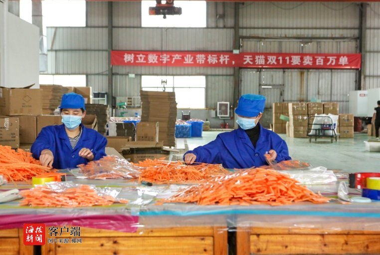 雙十一小家電銷量火爆的背后 日用百貨變身購物車的常客